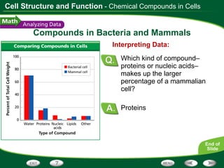 Compounds in Bacteria and Mammals Proteins Interpreting Data: Which kind of compound–proteins or nucleic acids–makes up the larger percentage of a mammalian cell? - Chemical Compounds in Cells 