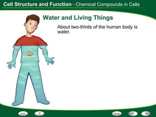 Water and Living Things About two-thirds of the human body is water. - Chemical Compounds in Cells 