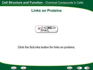 Links on Proteins Click the SciLinks button for links on proteins. - Chemical Compounds in Cells 