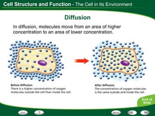 Diffusion In diffusion, molecules move from an area of higher concentration to an area of lower concentration. - The Cell in Its Environment 