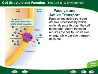 Passive and Active Transport Passive and active transport are two processes by which materials pass through the cell membrane. Active transport requires the cell to use its own energy, while passive transport does not. - The Cell in Its Environment 