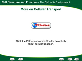 More on Cellular Transport Click the PHSchool.com button for an activity about cellular transport. - The Cell in Its Environment 