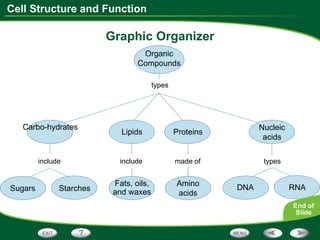 Graphic Organizer Organic Compounds Carbo-hydrates Lipids Proteins Starches Amino acids Sugars Fats, oils, and waxes DNA Nucleic acids RNA types types made of include include 