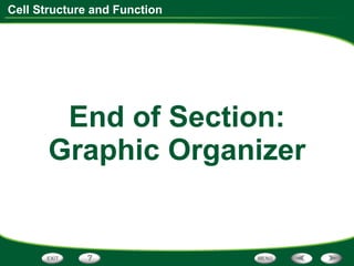 End of Section: Graphic Organizer 