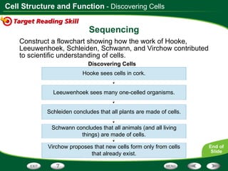 Sequencing Construct a flowchart showing how the work of Hooke, Leeuwenhoek, Schleiden, Schwann, and Virchow contributed to scientific understanding of cells. Discovering Cells Hooke sees cells in cork. Leeuwenhoek sees many one-celled organisms. Schleiden concludes that all plants are made of cells. Schwann concludes that all animals (and all living things) are made of cells. Virchow proposes that new cells form only from cells that already exist. - Discovering Cells 