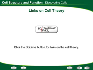 Links on Cell Theory Click the SciLinks button for links on the cell theory. - Discovering Cells 
