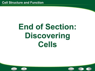 End of Section: Discovering Cells 