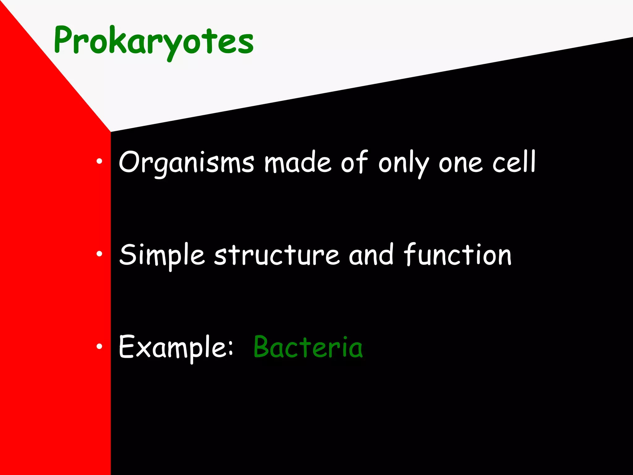 Prokaryotes Organisms made of only one cell Simple structure and function Example:  Bacteria 