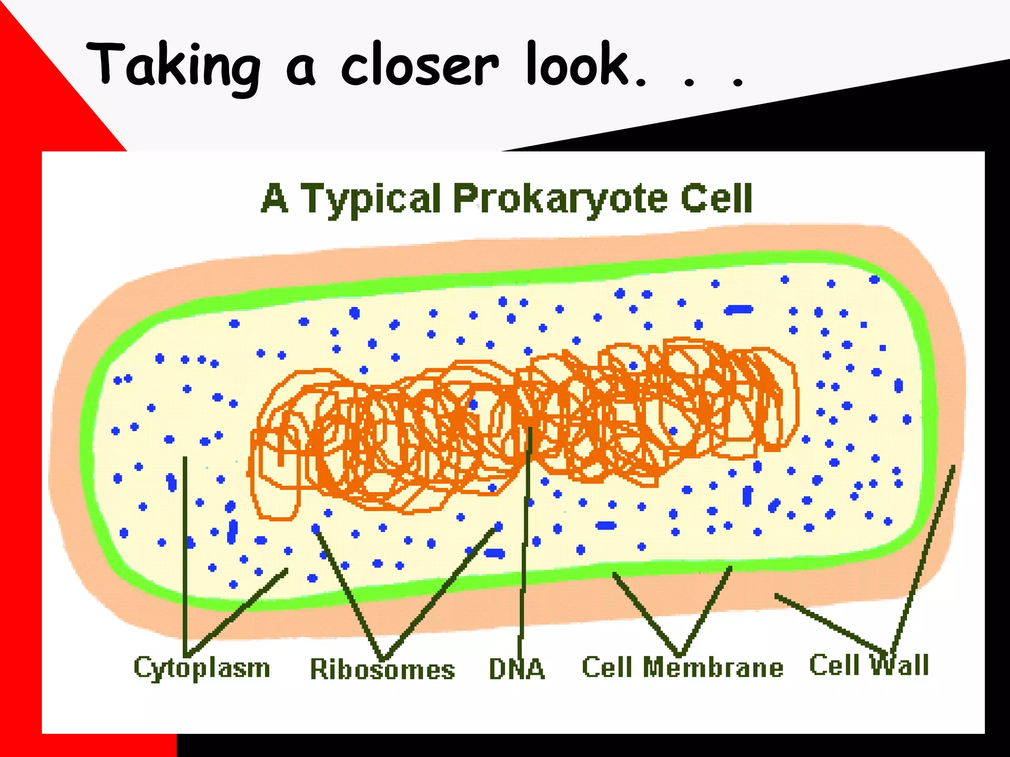 Taking a closer look. . . 