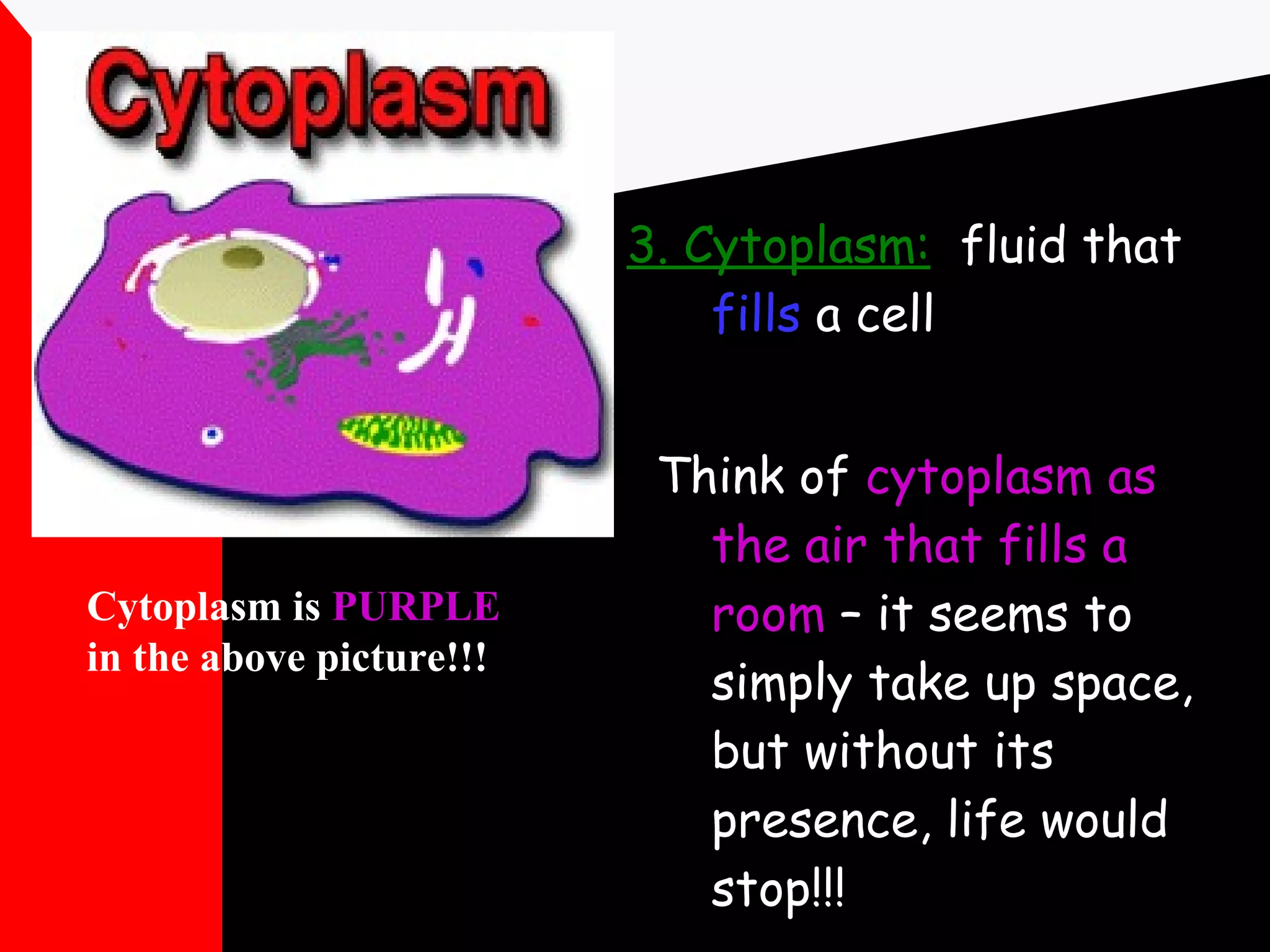 3. Cytoplasm:   fluid that  fills  a cell Think of  cytoplasm as the air that fills a room  – it seems to simply take up space, but without its presence, life would stop!!! Cytoplasm is  PURPLE  in the above picture!!! 