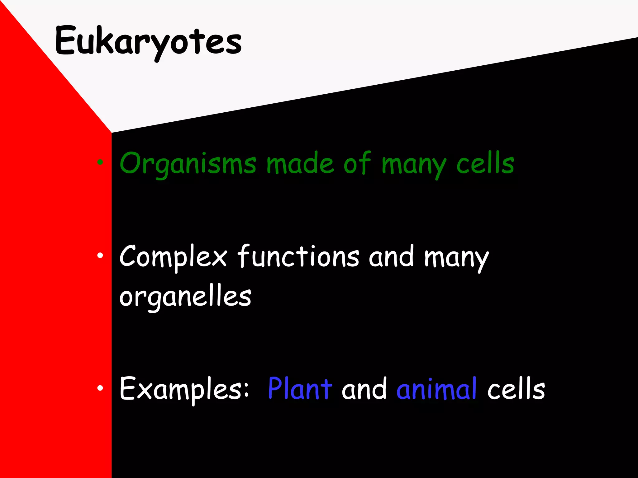 Eukaryotes Organisms made of many cells Complex functions and many organelles Examples:  Plant  and  animal  cells 