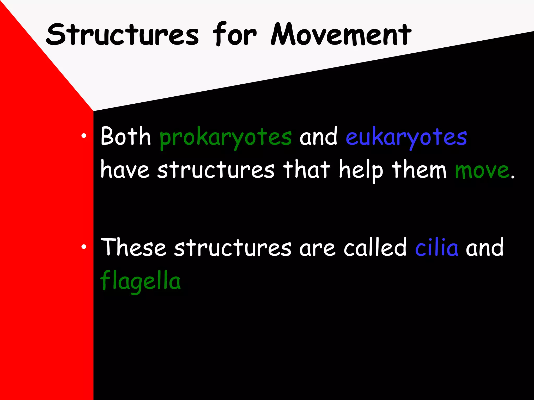 Structures for Movement Both  prokaryotes  and  eukaryotes  have structures that help them  move .  These structures are called  cilia  and  flagella 