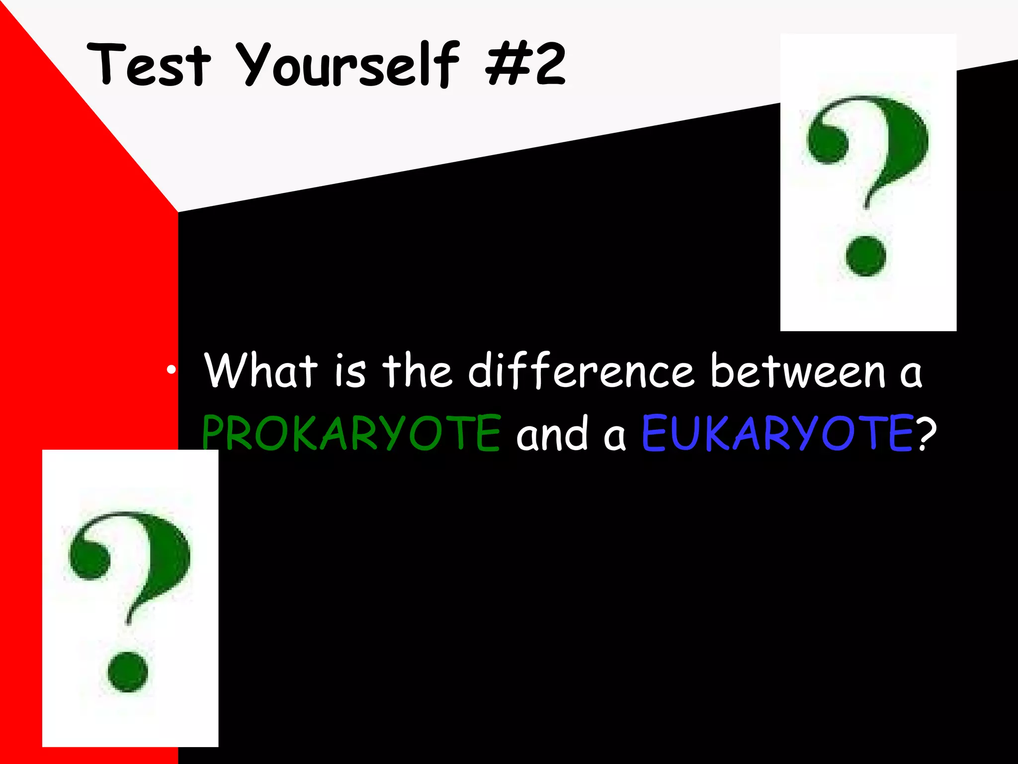 Test Yourself #2 What is the difference between a  PROKARYOTE  and a  EUKARYOTE ? 