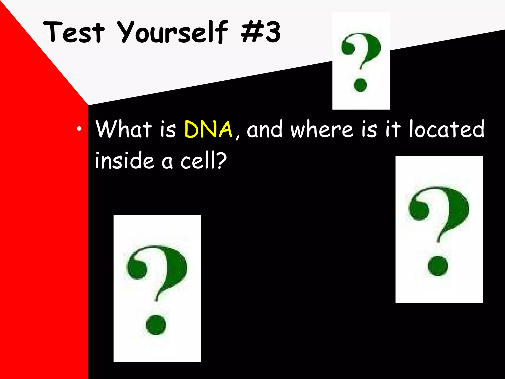 Test Yourself #3 What is  DNA , and where is it located inside a cell? 