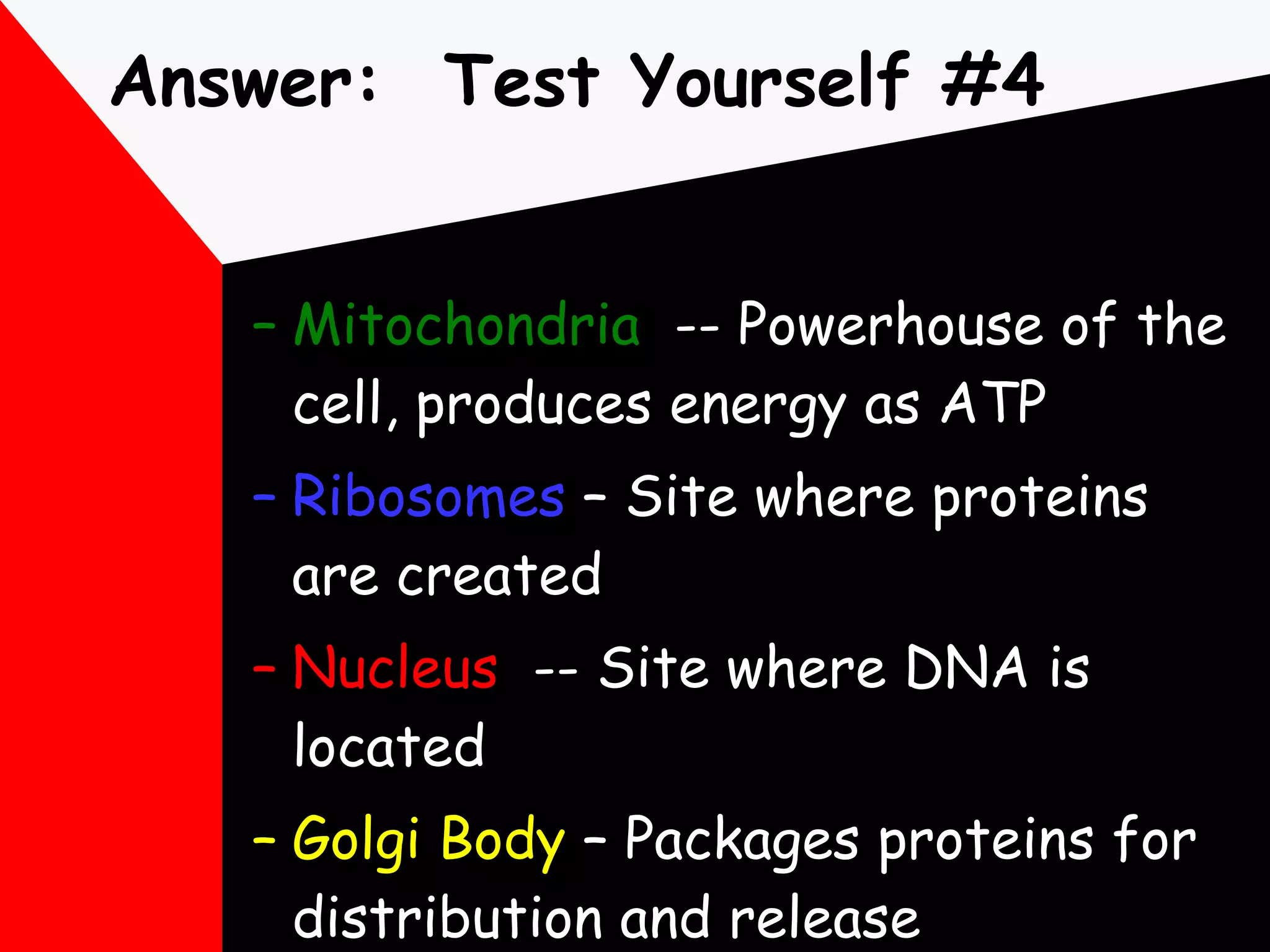 Answer:  Test Yourself #4 Mitochondria   -- Powerhouse of the cell, produces energy as ATP Ribosomes  – Site where proteins are created Nucleus   -- Site where DNA is located Golgi Body  – Packages proteins for distribution and release 