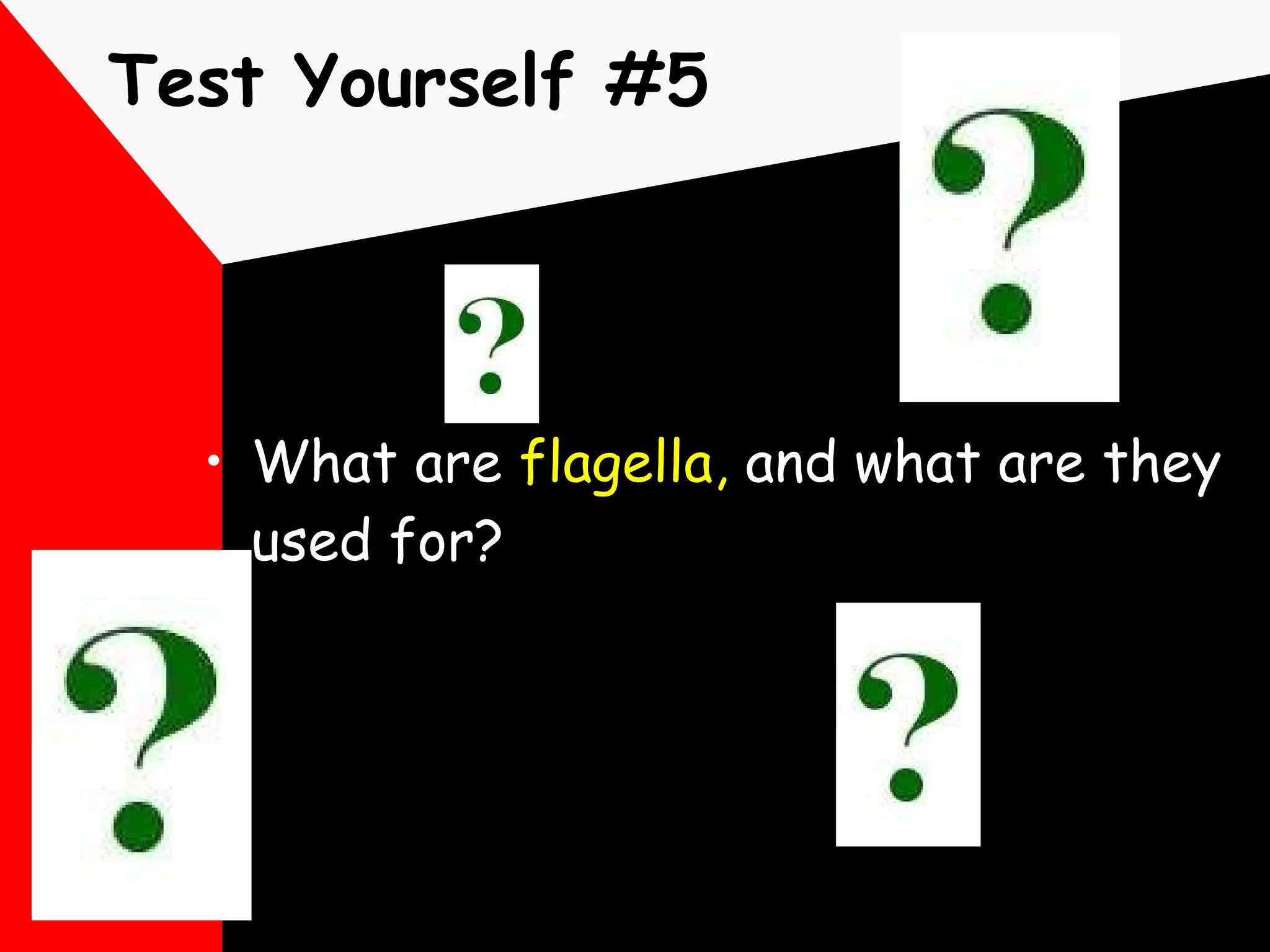 Test Yourself #5 What are  flagella,  and what are they used for? 