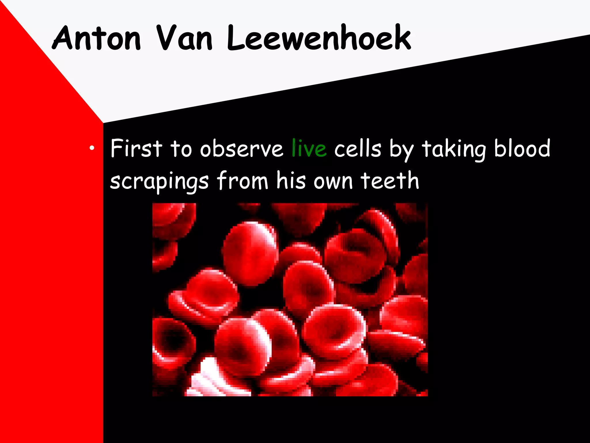 Anton Van Leewenhoek First to observe  live  cells by taking blood scrapings from his own teeth 