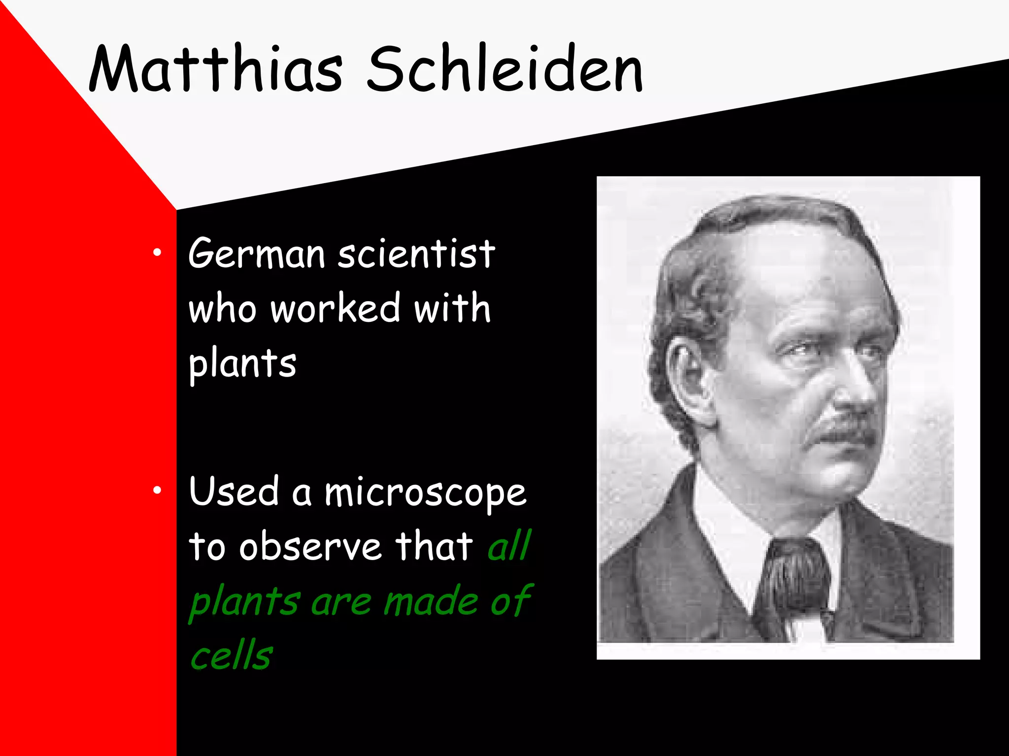 Matthias Schleiden German scientist who worked with plants Used a microscope to observe that  all plants are made of cells   
