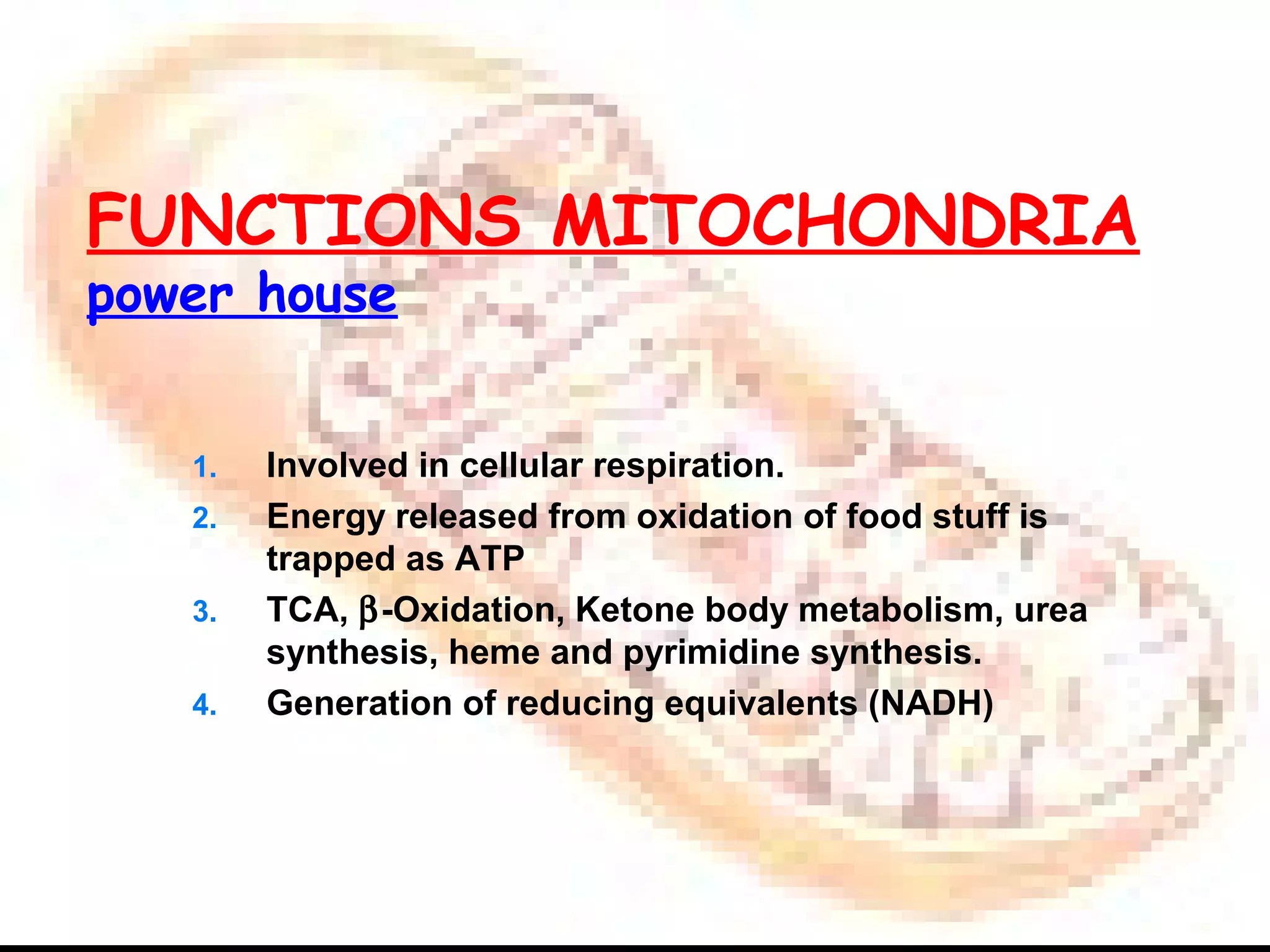 1. Involved in cellular respiration.
2. Energy released from oxidation of food stuff is
trapped as ATP
3. TCA, β-Oxidation, Ketone body metabolism, urea
synthesis, heme and pyrimidine synthesis.
4. Generation of reducing equivalents (NADH)
FUNCTIONS MITOCHONDRIA
power house
 
