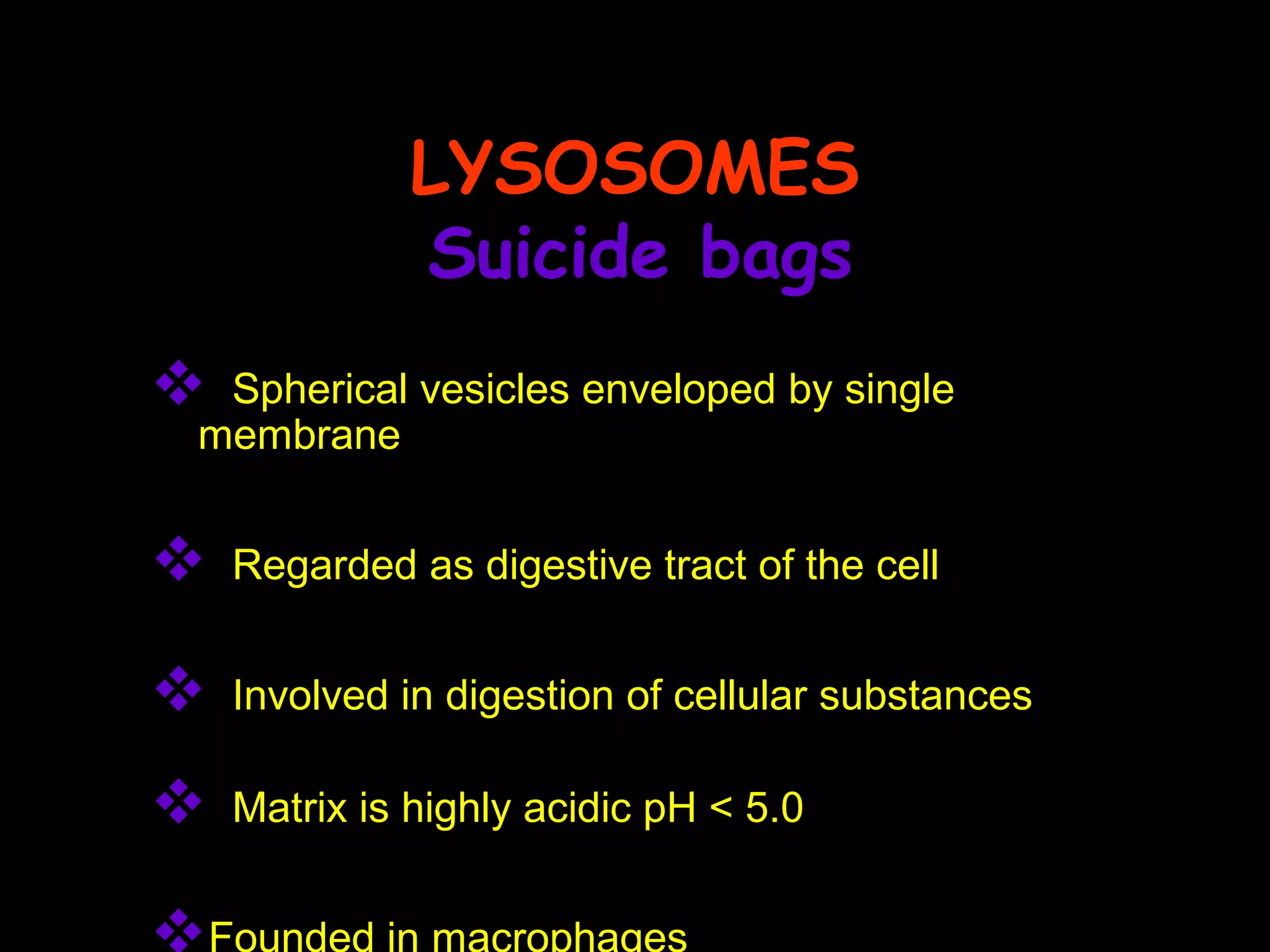 LYSOSOMES
Suicide bags
 Spherical vesicles enveloped by single
membrane
 Regarded as digestive tract of the cell
 Involved in digestion of cellular substances
 Matrix is highly acidic pH < 5.0
Founded in macrophages
 