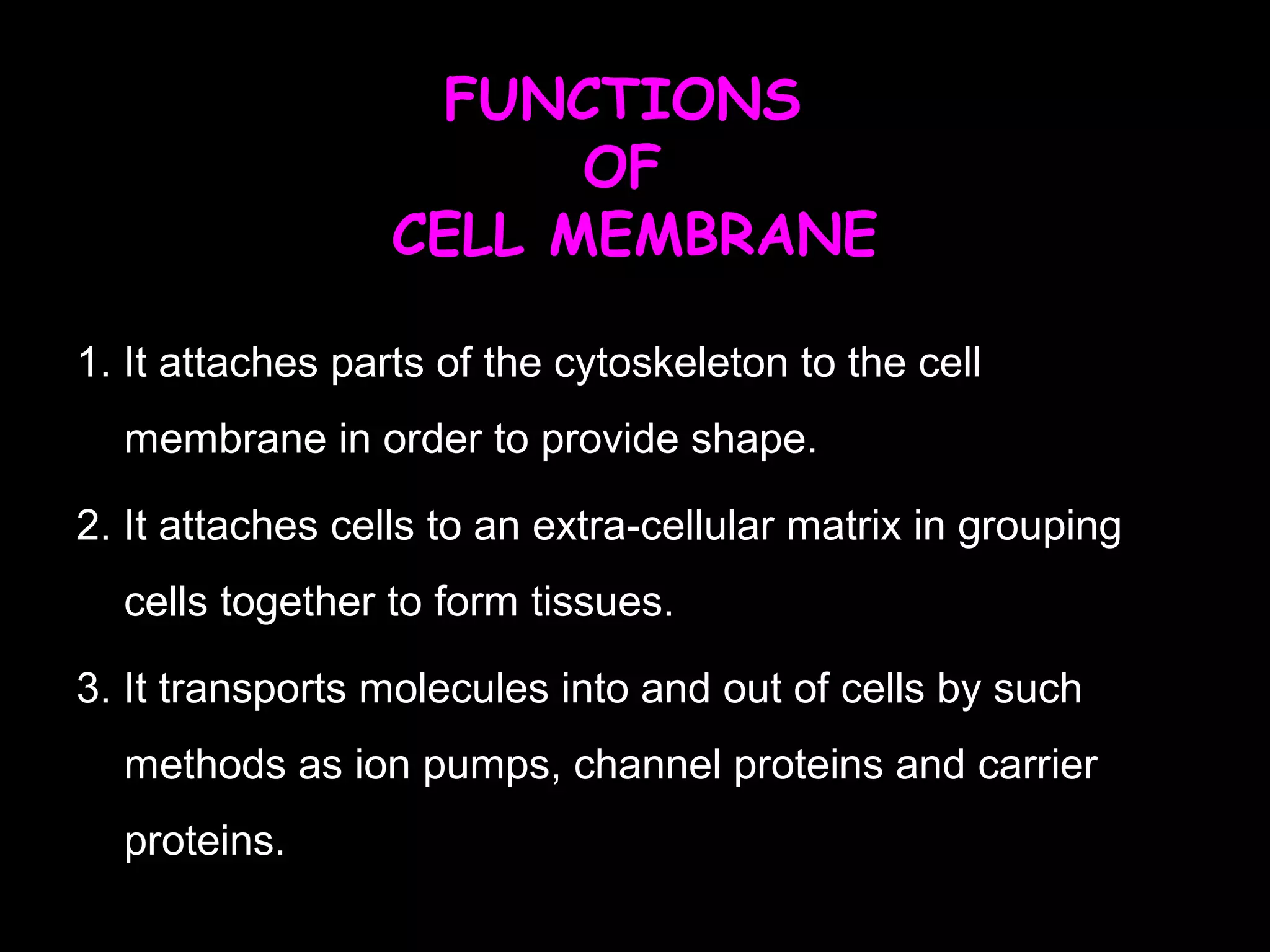 FUNCTIONS
OF
CELL MEMBRANE
1. It attaches parts of the cytoskeleton to the cell
membrane in order to provide shape.
2. It attaches cells to an extra-cellular matrix in grouping
cells together to form tissues.
3. It transports molecules into and out of cells by such
methods as ion pumps, channel proteins and carrier
proteins.
 