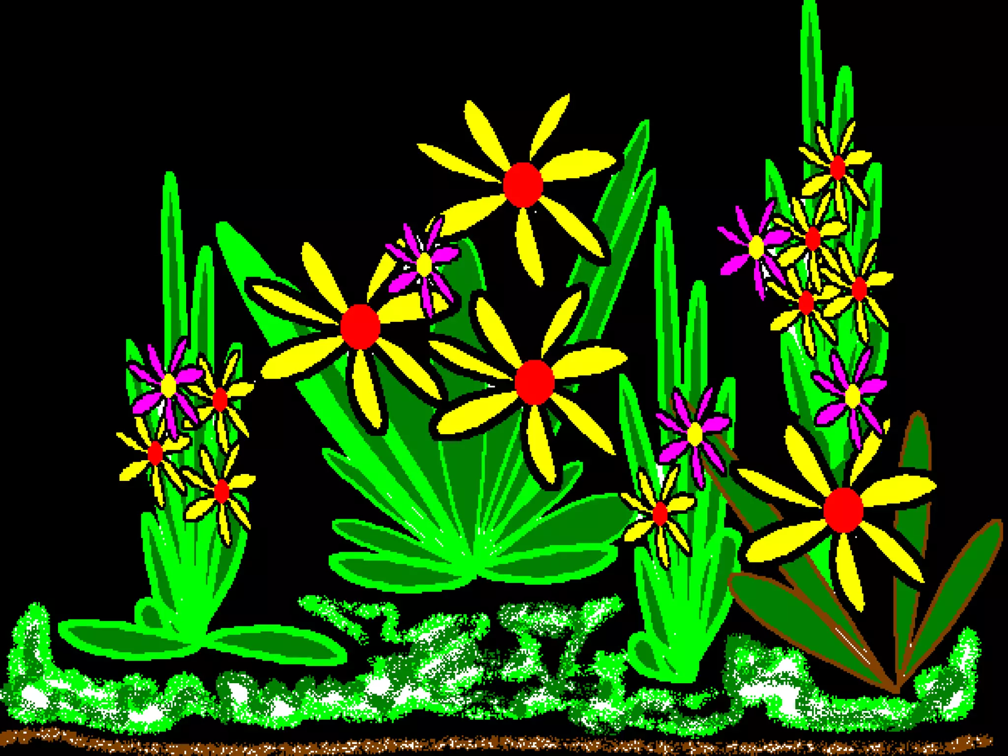 Cell structure and function