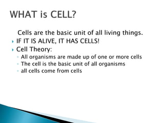 Cell structure and function | PPTX