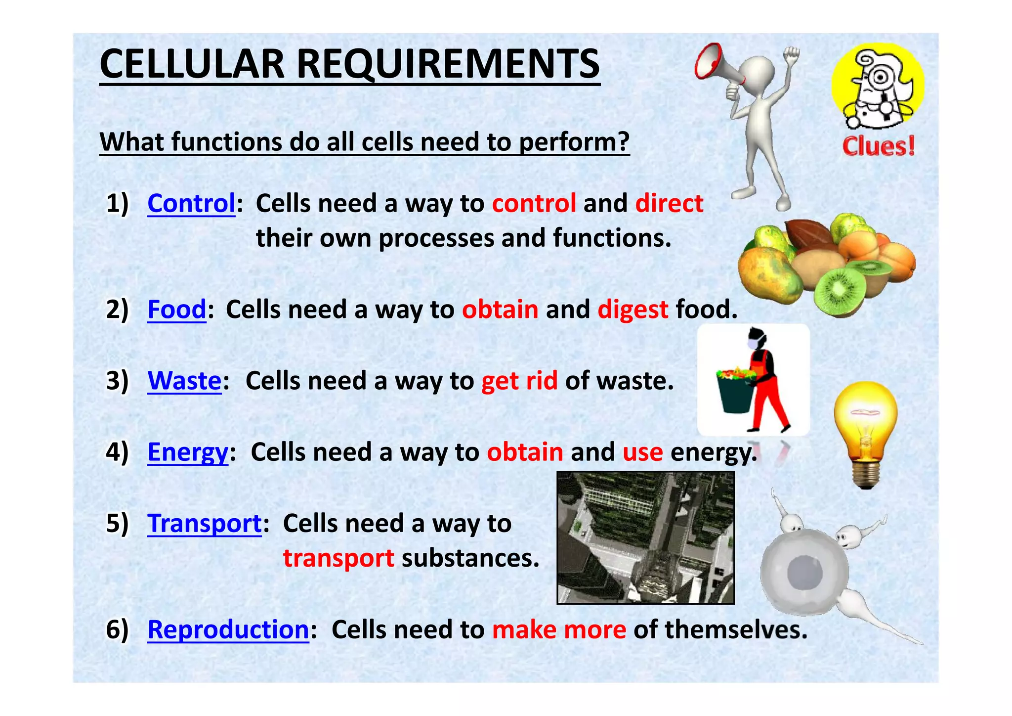 STRUCTURES IN A GENERAL ANIMAL CELL
A
B
F
E
D
C
S
J
I
H
G
R
Q
P
N
M
L
T
O
K
smooth
endoplasmic
reticulum
nucleolus
cytoplasm
centriole
mitochondrion
cytoplasm
ribosome
flagellum
nuclear pore
chromatin
chromosome
nucleoplasm
nuclear
membrane
rough
endoplasmic
reticulum
peroxisome
cilium
Golgi body
vesicle/lysosome
cell membrane
nucleusName as many structures as you can.
 