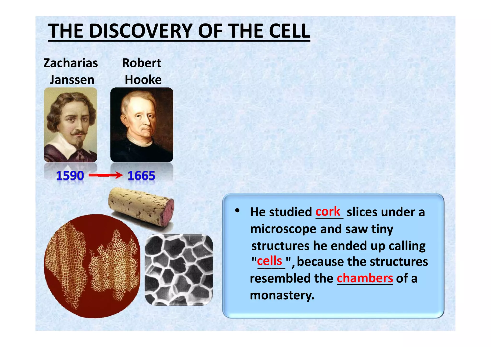 • He improved on ____ technology.
THE DISCOVERY OF THE CELL
lens
Robert
Hooke
• He was the first to examine and
describe ______________ , like
bacteria, in a drop of water.
Anton van
Leeuwenhoek
Zacharias
Janssen
microorganisms
• He called them "little beasties".
(Leeuwenhoek microscopes)
 