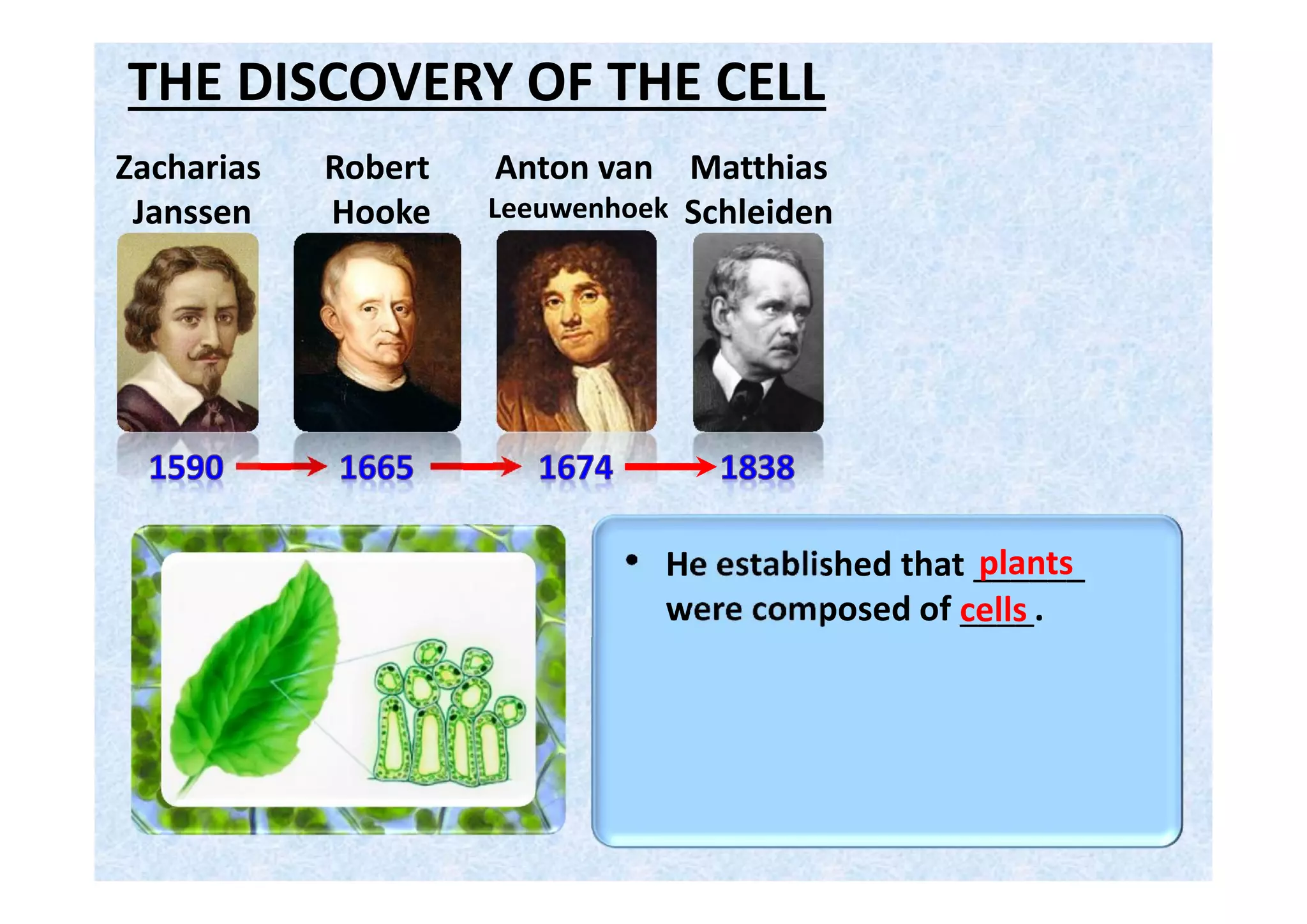 THE DISCOVERY OF THE CELL
Robert
Hooke
Anton van
Leeuwenhoek
Theodore
Schwann
Zacharias
Janssen
Matthias
Schleiden
• He established that _______
were composed of ____.cells
animals
 