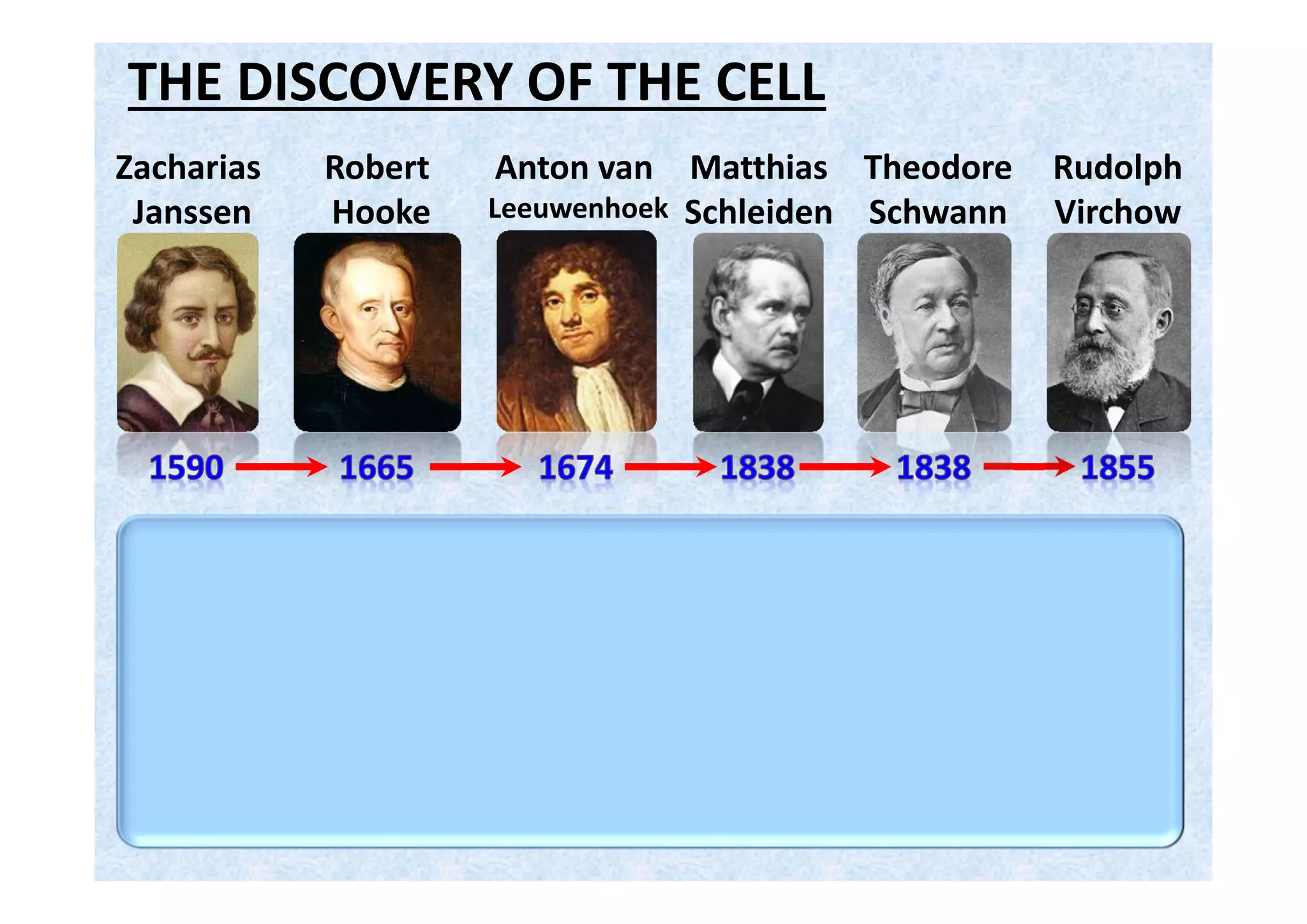 THE DISCOVERY OF THE CELL
Robert
Hooke
Anton van
Leeuwenhoek
Theodore
Schwann
Zacharias
Janssen
Matthias
Schleiden
Rudolph
Virchow
• The last three
scientists put
together the
principles of
___________.CELL THEORY
 
