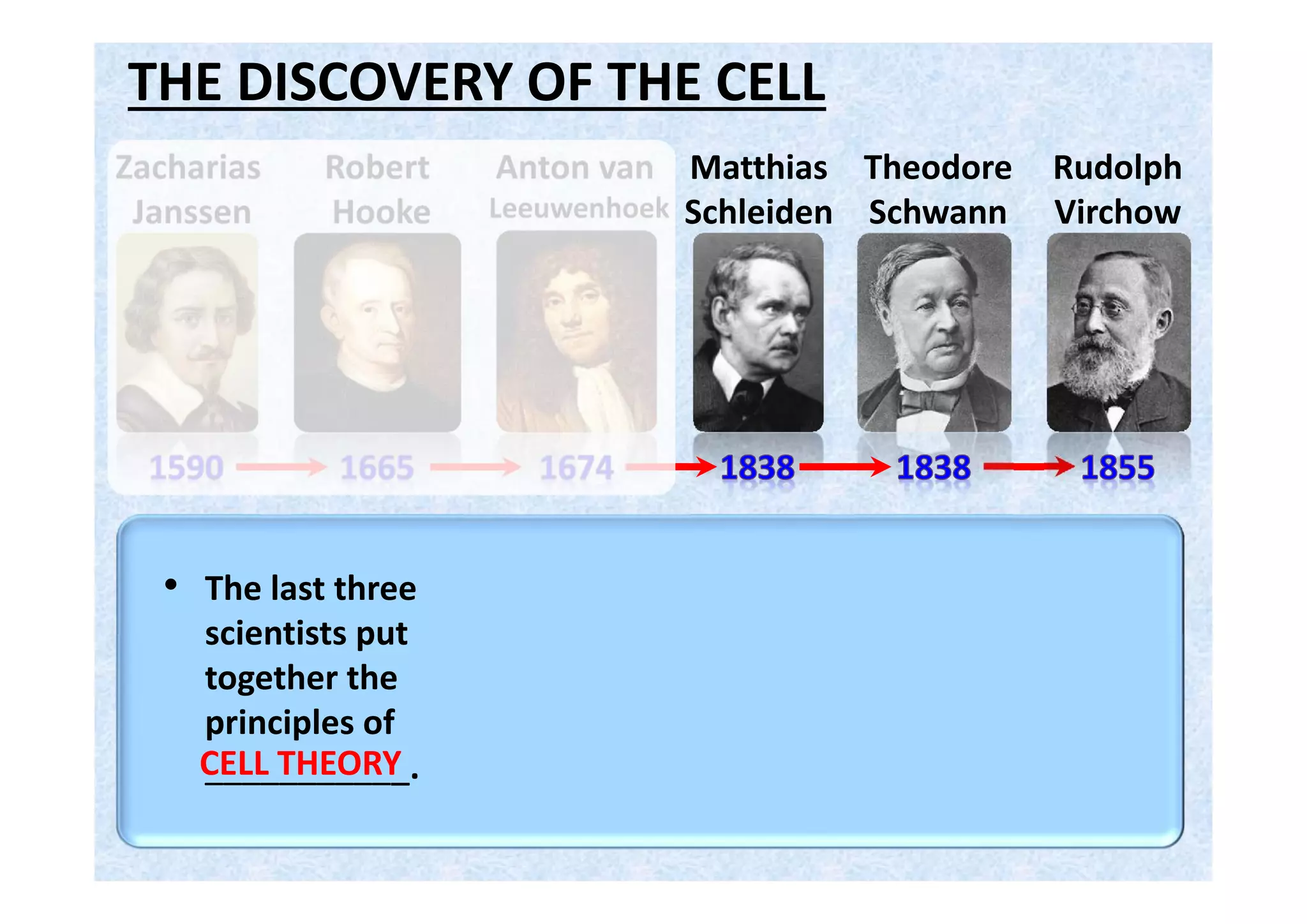 CELL THEORY
Robert
Hooke
Anton van
Leeuwenhoek
Theodore
Schwann
Zacharias
Janssen
Matthias
Schleiden
Rudolph
Virchow
• The last three
scientists put
together the
principles of
___________.CELL THEORY
1) All living things are made up of one or
more ____.cells
2) Cells form the _________ of living things.basic units
3) All cells come from __________ cells.pre-existing
 