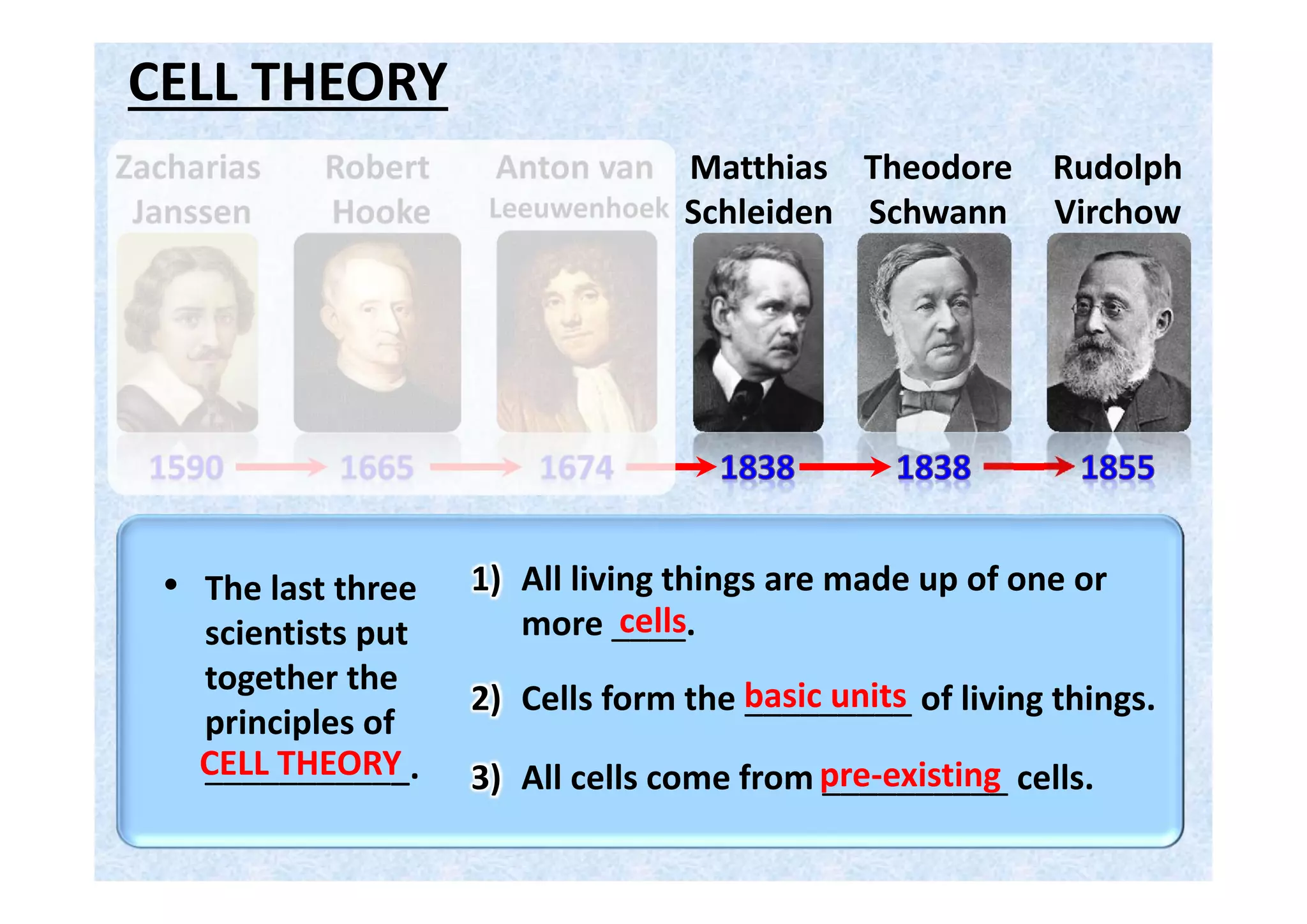 CELLULAR REQUIREMENTS
What functions do all cells need to perform?
1)
2)
3)
4)
5)
Control:
Food:
Waste:
Energy:
Transport:
Cells need a way to control and direct
their own processes and functions.
Cells need a way to obtain and digest food.
Cells need a way to get rid of waste.
Cells need a way to obtain and use energy.
Cells need a way to
transport substances.
6) Reproduction: Cells need to make more of themselves.
 
