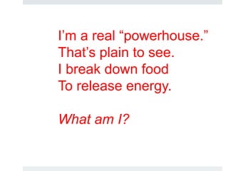 I’m a real “powerhouse.”
That’s plain to see.
I break down food
To release energy.
What am I?
 