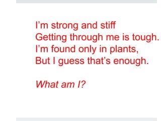 I’m strong and stiff
Getting through me is tough.
I’m found only in plants,
But I guess that’s enough.
What am I?
 