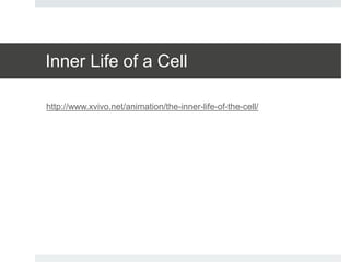 Inner Life of a Cell
http://www.xvivo.net/animation/the-inner-life-of-the-cell/
 