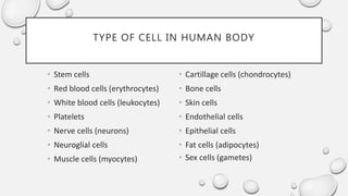Cell structure and function | PPTX