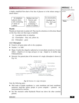 Cell structure and function | PDF