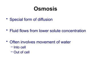 Osmosis
• Special form of diffusion
• Fluid flows from lower solute concentration
• Often involves movement of water
– Into cell
– Out of cell
 