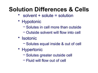 Solution Differences & Cells
• solvent + solute = solution
• Hypotonic
– Solutes in cell more than outside
– Outside solvent will flow into cell
• Isotonic
– Solutes equal inside & out of cell
• Hypertonic
– Solutes greater outside cell
– Fluid will flow out of cell
 