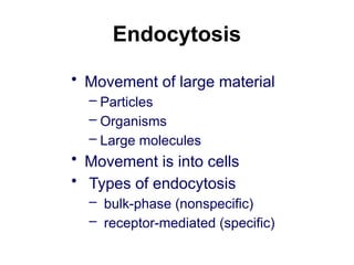 Endocytosis
• Movement of large material
– Particles
– Organisms
– Large molecules
• Movement is into cells
• Types of endocytosis
– bulk-phase (nonspecific)
– receptor-mediated (specific)
 