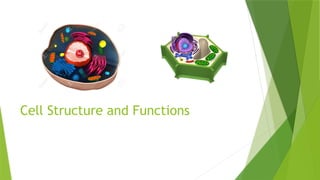 cell structure and function.pptx........ | PPTX