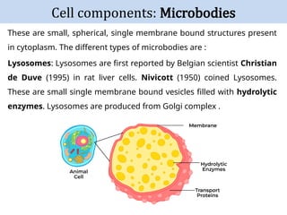Cell Architecture and Operation Principles.pptx