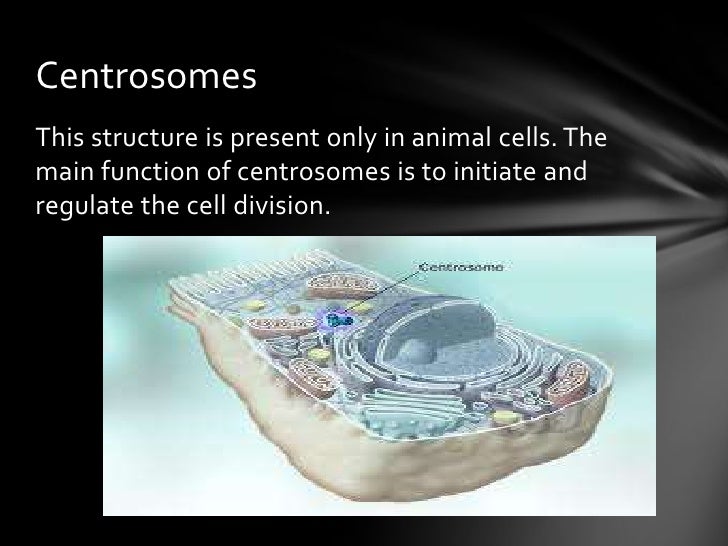 Cell structure and function biology
