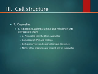 III. Cell structure
 B. Organelles
 1. Ribosomes assemble amino acid monomers into
polypeptide chains
 a. Associated with the ER in eukaryotes
b. Composed of RNA and proteins
c. Both prokaryotes and eukaryotes have ribosomes
d. NOTE: Other organelles are present only in eukaryotes
 