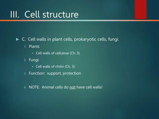 III. Cell structure
 C. Cell walls in plant cells, prokaryotic cells, fungi
1. Plants
 Cell walls of cellulose (Ch. 3)
2. Fungi
 Cell walls of chitin (Ch. 3)
3. Function: support, protection
4. NOTE: Animal cells do not have cell walls!
 