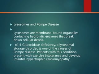  Lysosomes and Pompe Disease

Lysosomes are membrane-bound organelles
containing hydrolytic enzymes that break
down cellular debris.
 α1,4-Glucosidase deficiency, a lysosomal
storage disorder, is one of the causes of
Pompe disease. Patients with this condition
present with exercise intolerance and develop
infantile hypertrophic cardiomyopathy.
 