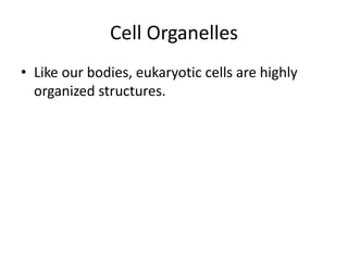 Cell structure and function2012 2013 | PPTX