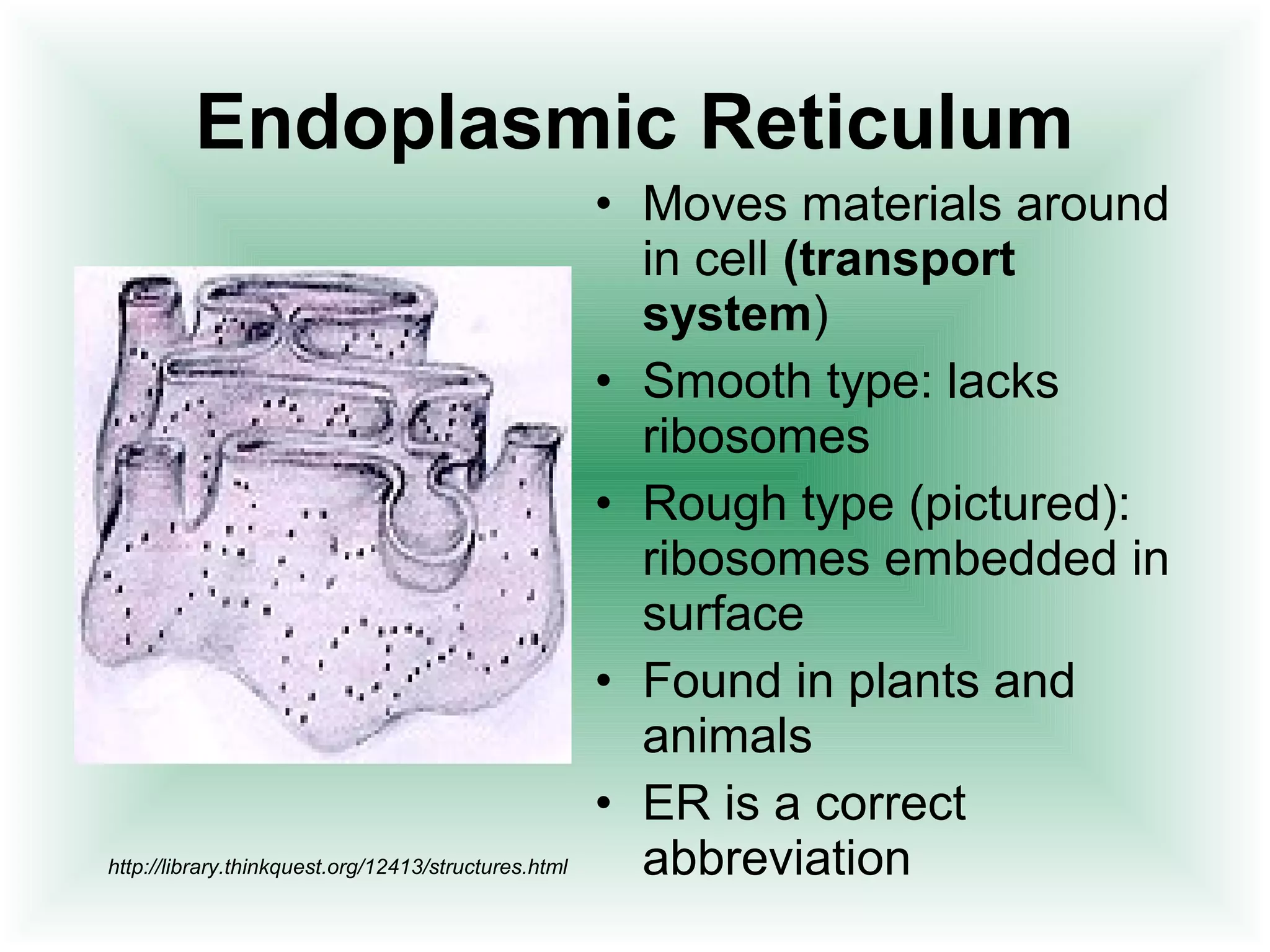 Endoplasmic Reticulum 
• Moves materials around 
in cell (transport 
system) 
• Smooth type: lacks 
ribosomes 
• Rough type (pictured): 
ribosomes embedded in 
surface 
• Found in plants and 
animals 
• ER is a correct 
http://library.thinkquest.org/12413/structures.html abbreviation 
 