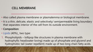 CELL MEMBRANE
• Also called plasma membrane or plasmalemma or biological membrane.
• It is a thin, delicate, elastic and selectively/ semipermeable living boundary
that separates interior of the cell from its outside environment.
• Composition:
• Lipids (40%)_ two type:
1. Phospholipids – lollipop like structures in plasma membrane with
hydrophyllic head(water loving) made up of phosphate and glycerol and
hydrophobic tail (water repellent) made up of two long chain fatty acids.
 